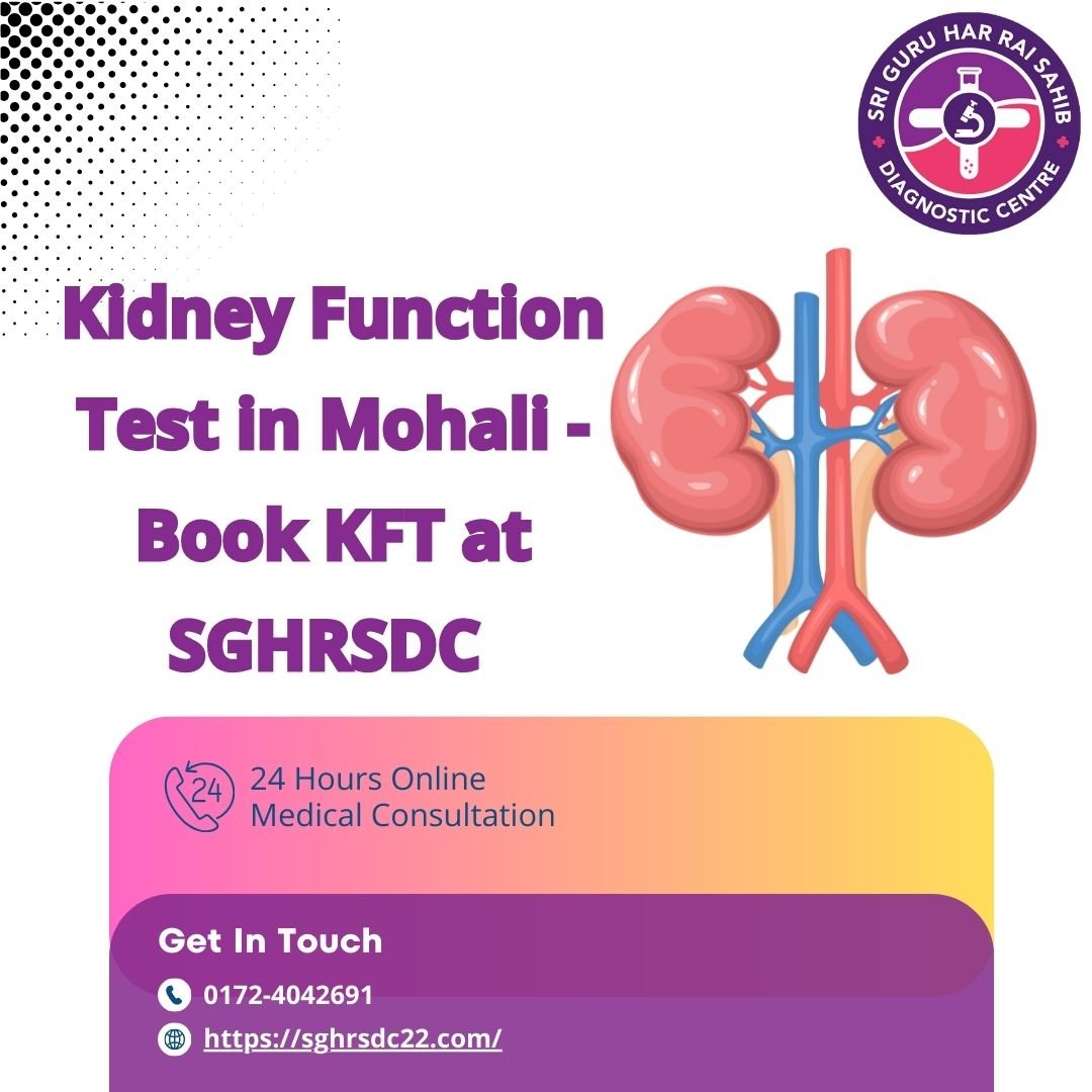 Kidney Function Test in Mohali